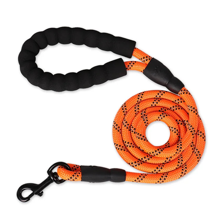 La laisse en coloris orange