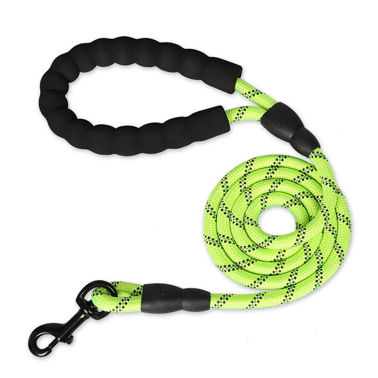 La laisse en coloris vert