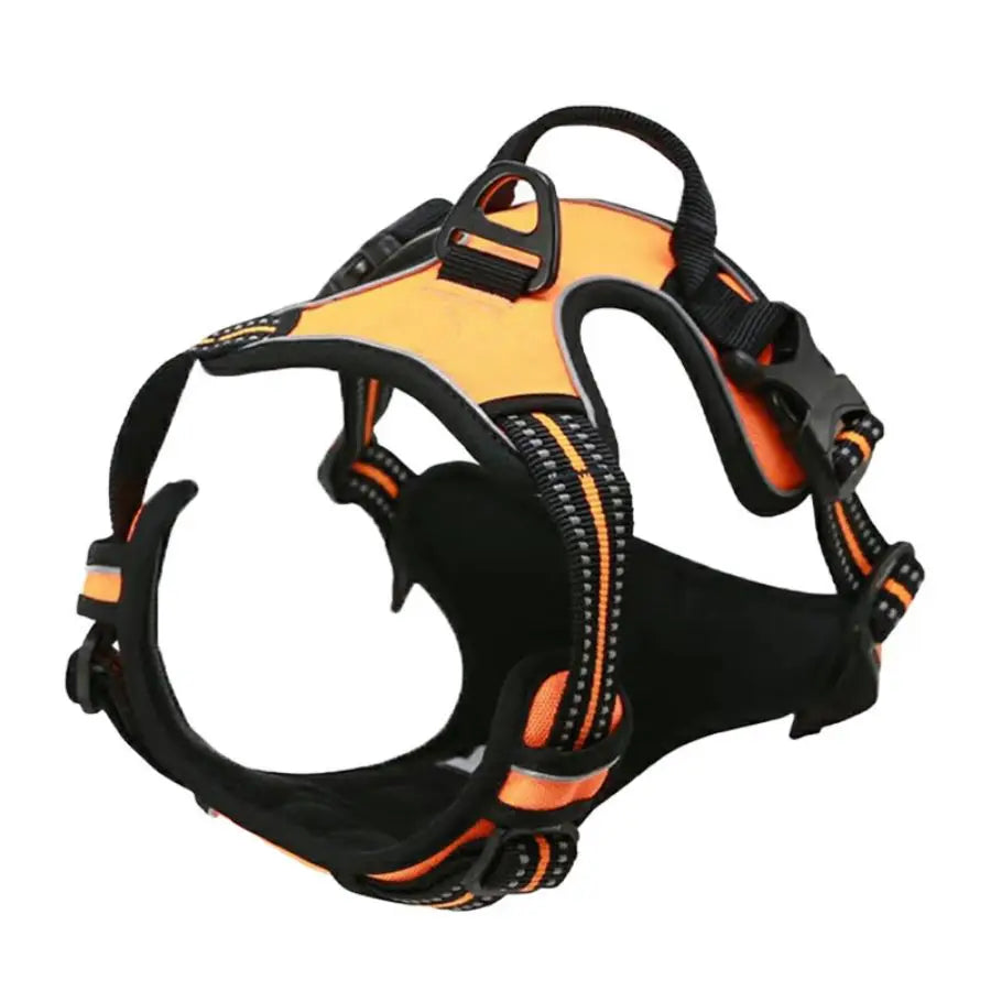 Le harnais Luweo en coloris orange