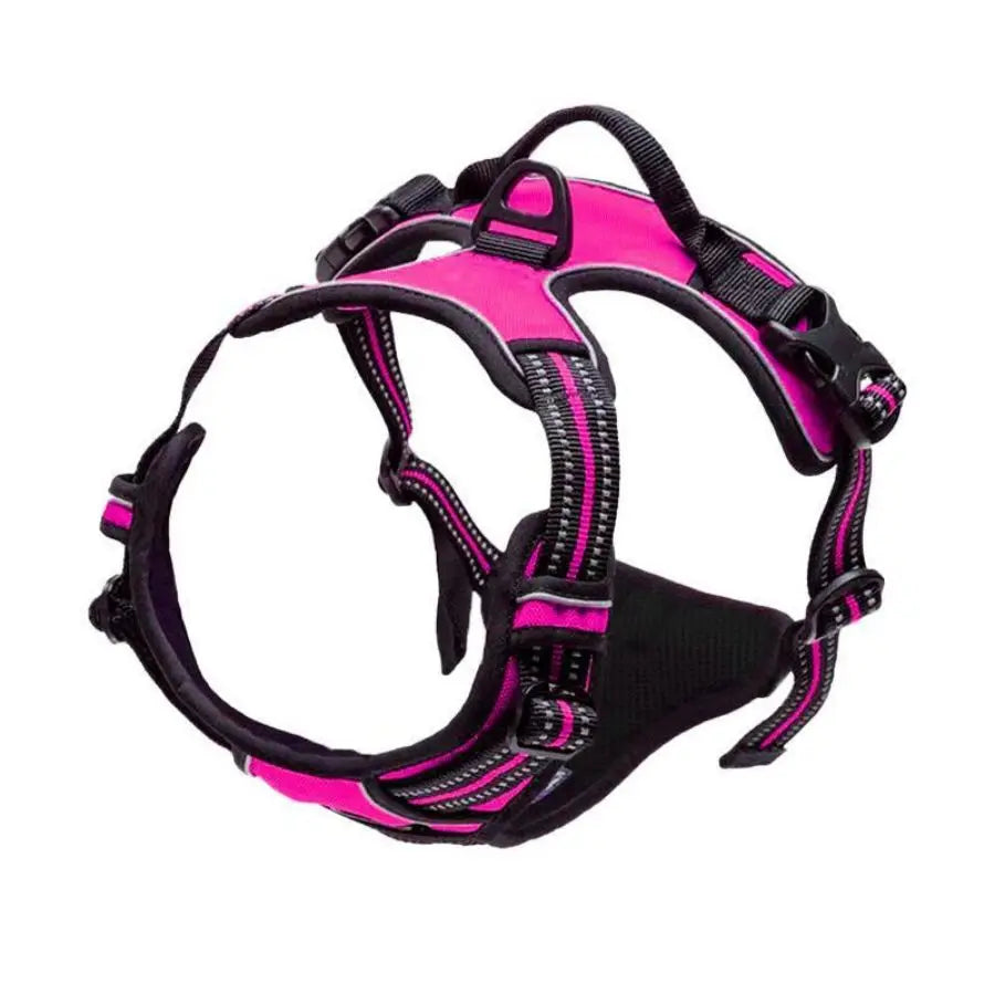 Le harnais Luweo en coloris fushia