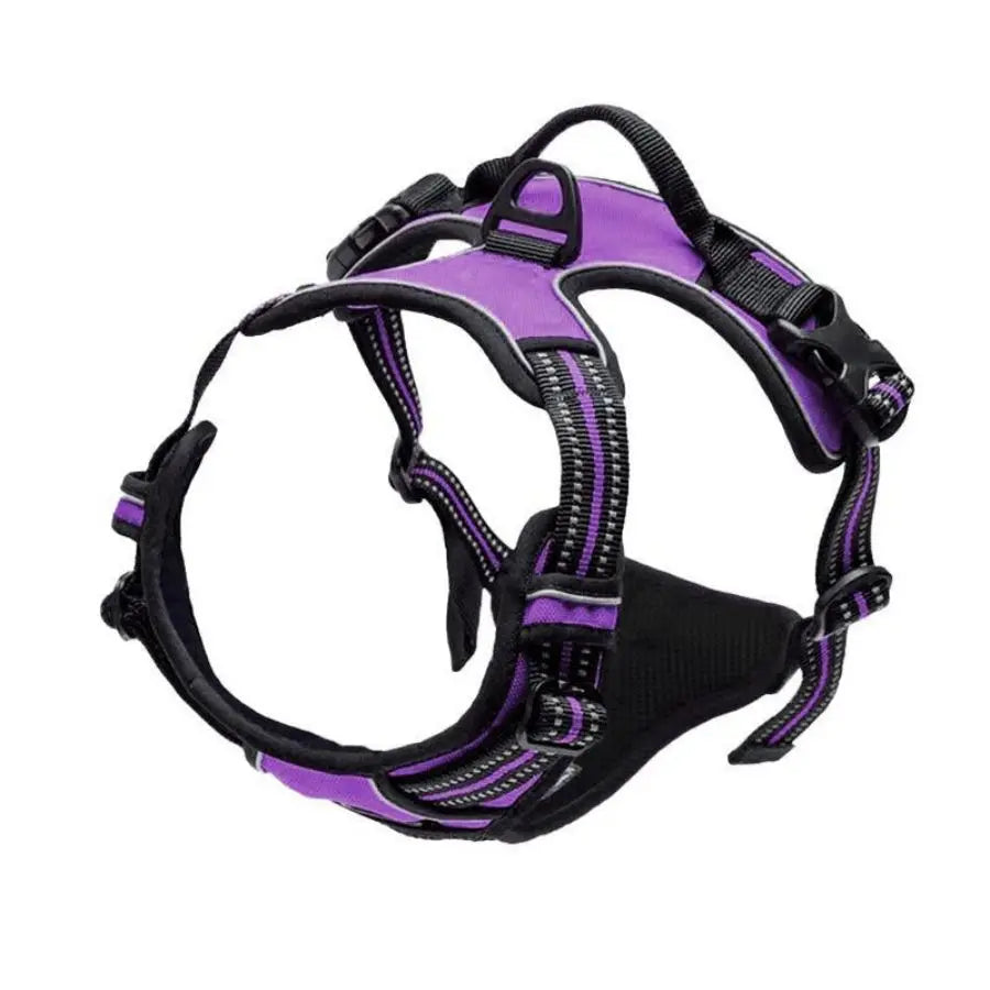 Le harnais Luweo en coloris violet